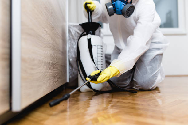 Best Insect Control  in Groveville, NJ