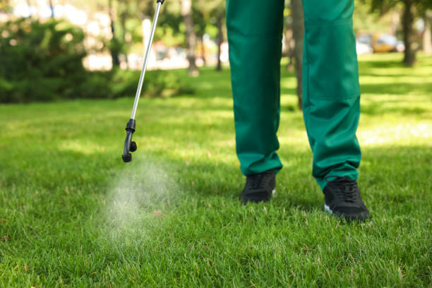 Best Bed Bug Extermination  in Groveville, NJ