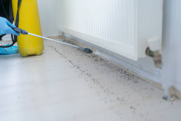 Professional Pest Control in Groveville, NJ